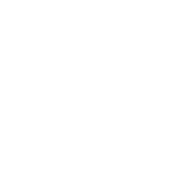 Immortalize Groupe