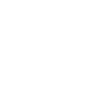 Immortalize Groupe